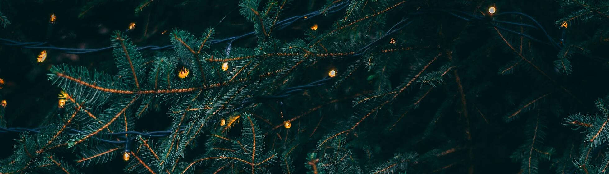 Christmas Collection