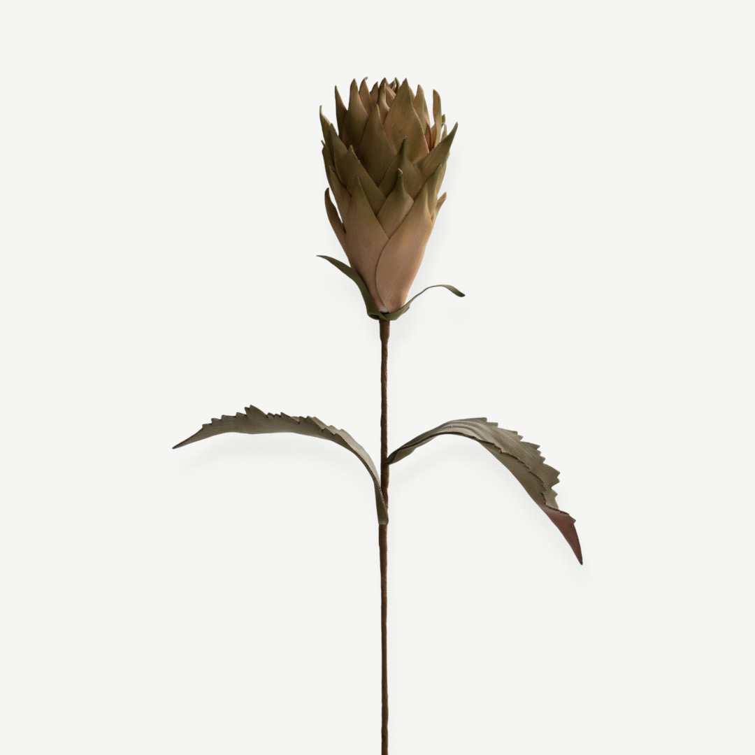 ساق بروتيا