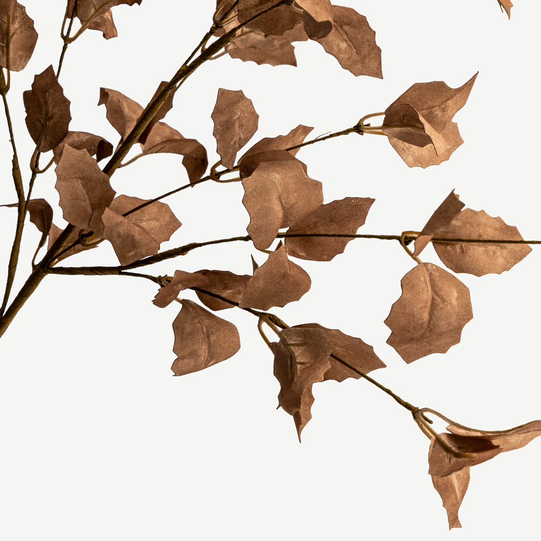 Bluebird Leaf - Brown