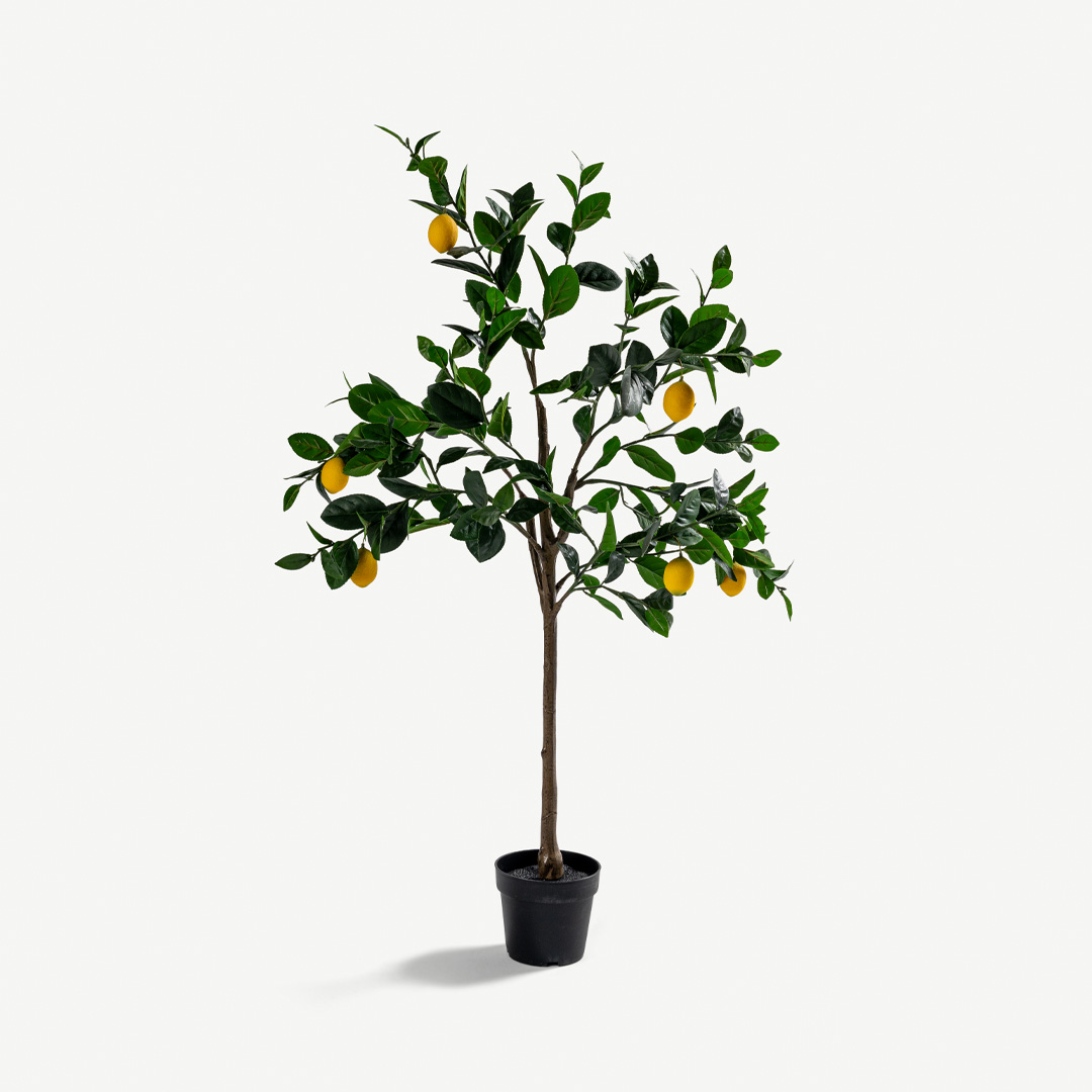 Lemon Tree With Pot 120cm