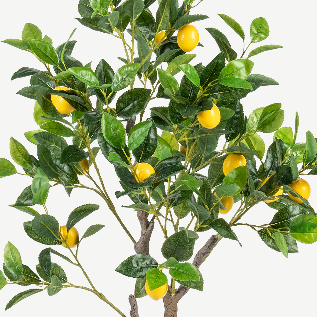 Lemon Tree With Pot 120cm